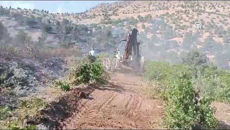 Bingöl'deki orman yangını söndürüldü - Resim: 9